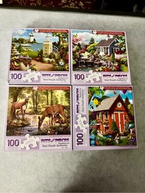 4 - 100 Bits and Pieces Assorted Scenic Puzzles - Multi-Color